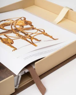 Assouline Lalanne: Een Wereld Van Poezie Sale