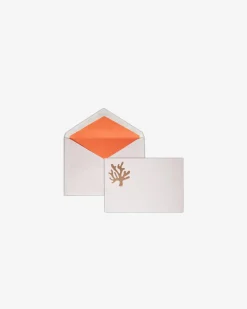 Assouline Reis Vanuit Huis Briefpapier