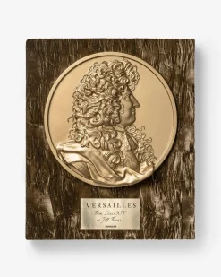 Assouline Versailles: Van Lodewijk Xiv Tot Jeff Koons (Speciale Editie) Outlet